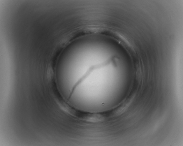 X0000113160459200909111018