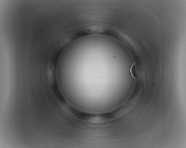 X0000113160460200909111018