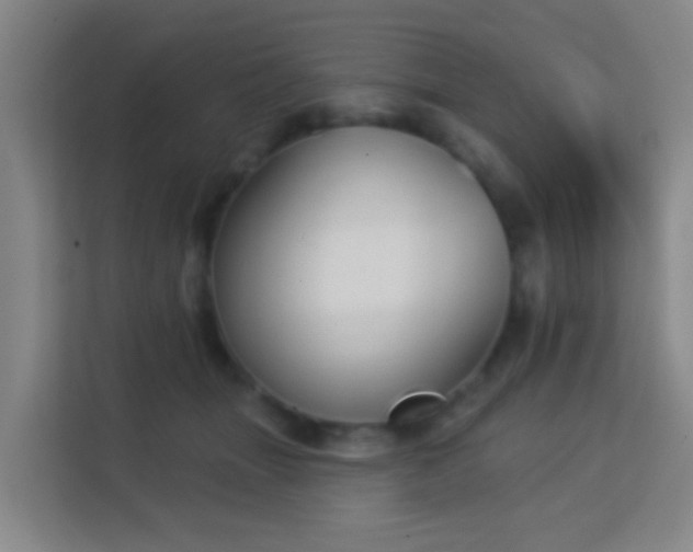 X0000113160463200909111018