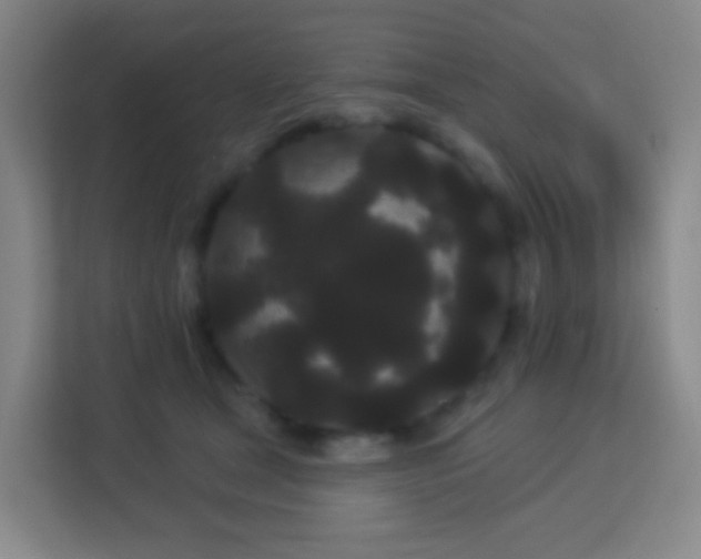 X0000113160465200909111018