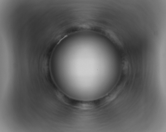 X0000113160466200909111018