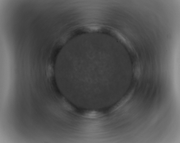 X0000113160467200909111018