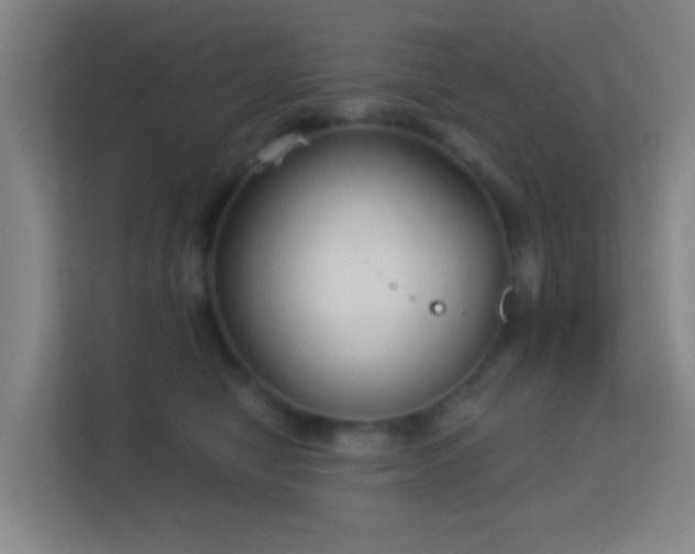 X0000113160470200909111018