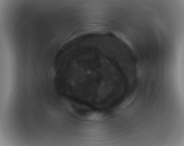 X0000113160471200909111018