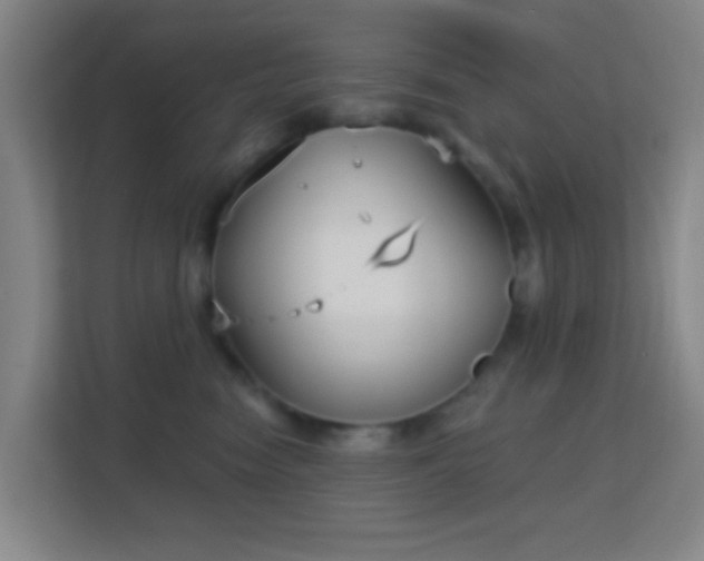 X0000113160474200909111018