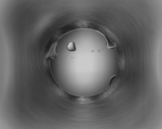 X0000113160477200909111018