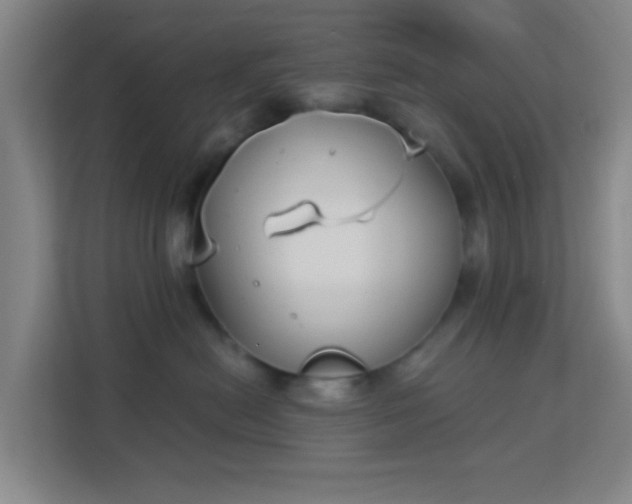 X0000113160478200909111018