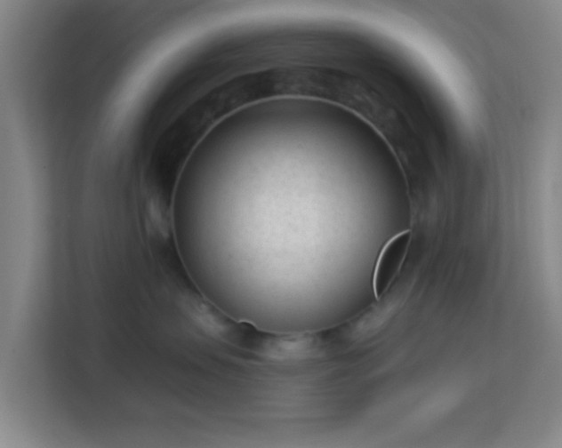 X0000113160479200909111018