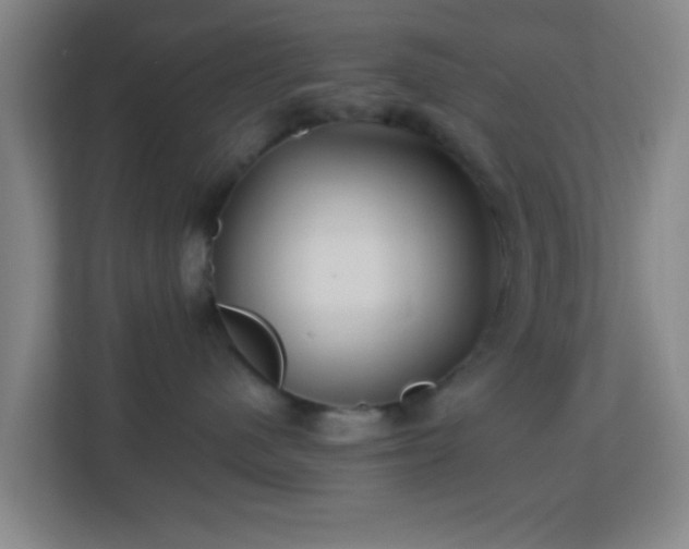 X0000113160480200909111018