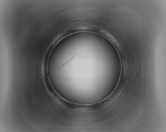 X0000113160482200909111017