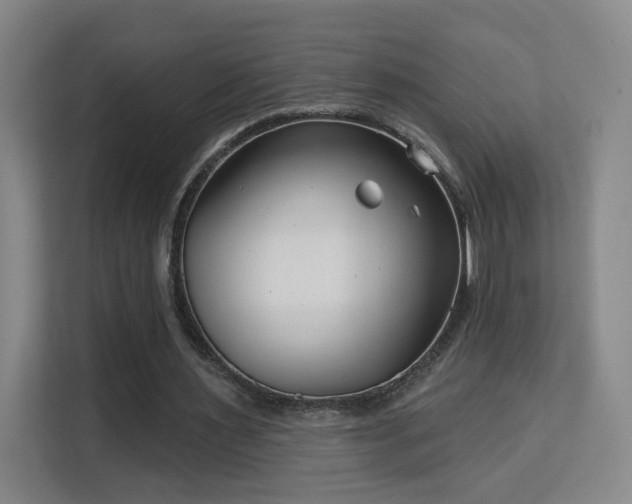 X0000113160483200909111017