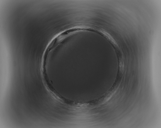 X0000113160484200909111017