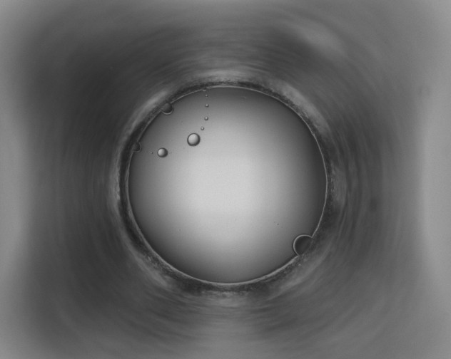 X0000113160486200909111017