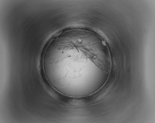 X0000113160487200909111017