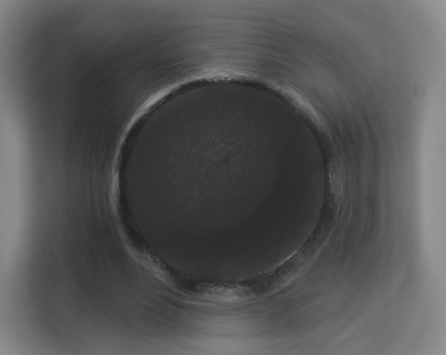 X0000113160488200909111017