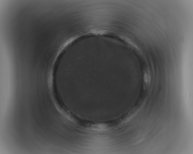 X0000113160492200909111017