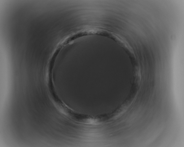 X0000113160496200909111017