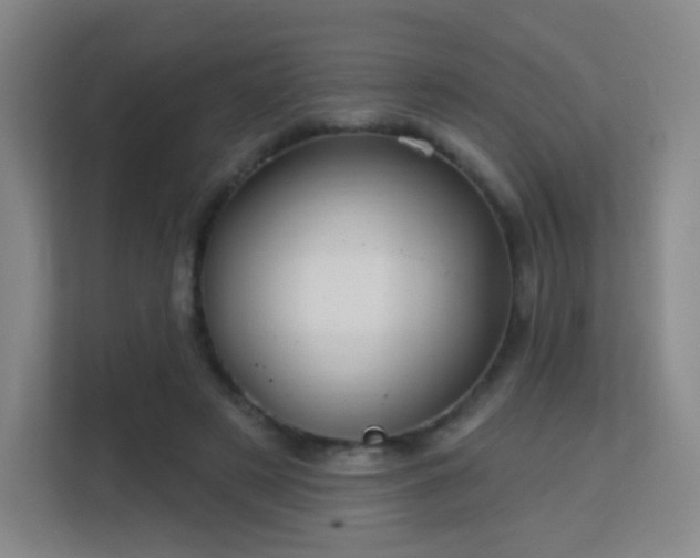 X0000113160497200909111017