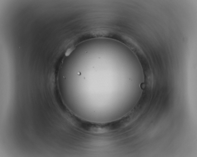 X0000113160498200909111017