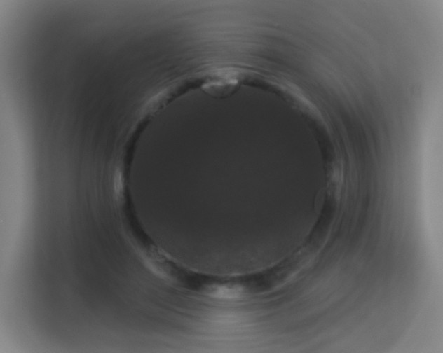 X0000113160500200909111017