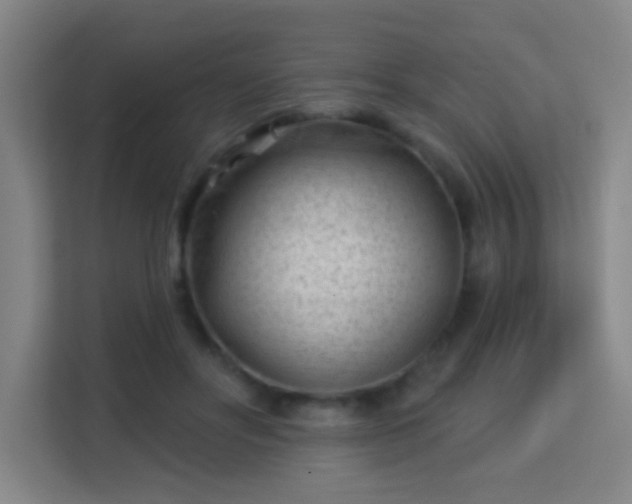 X0000113160502200909111017