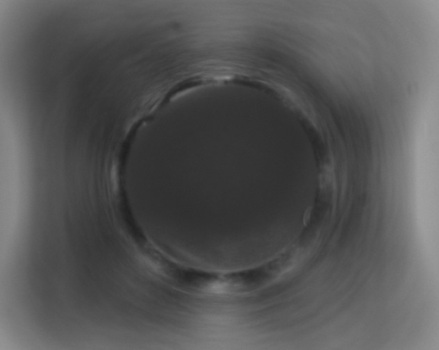 X0000113160504200909111017