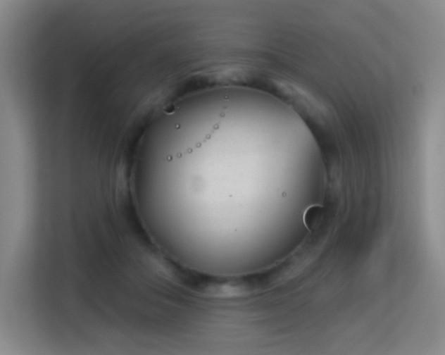 X0000113160506200909111017