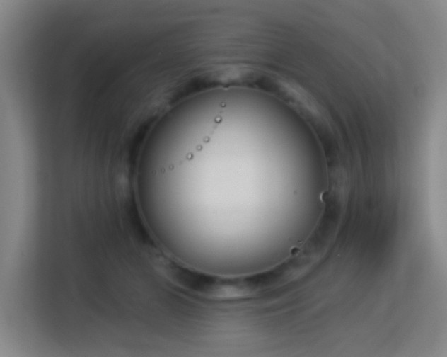 X0000113160510200909111017