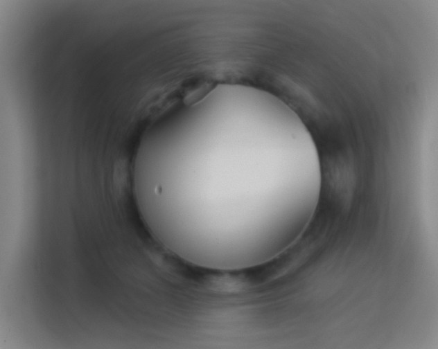 X0000113160511200909111017