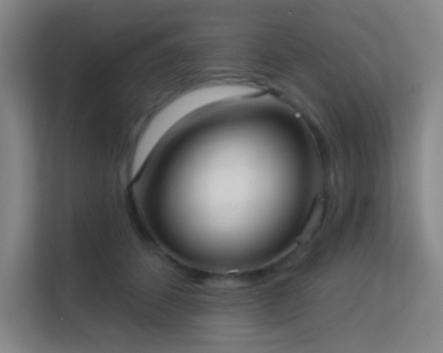 X0000113160512200909111017