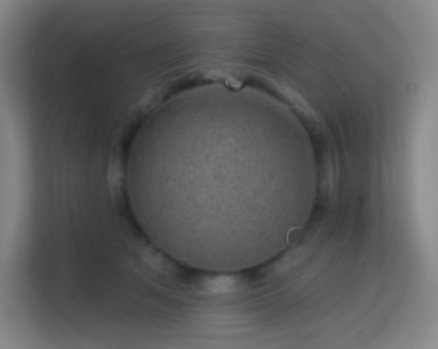 X0000113160513200909111017