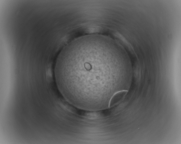 X0000113160516200909111017