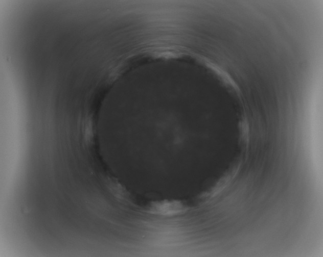 X0000113160517200909111017