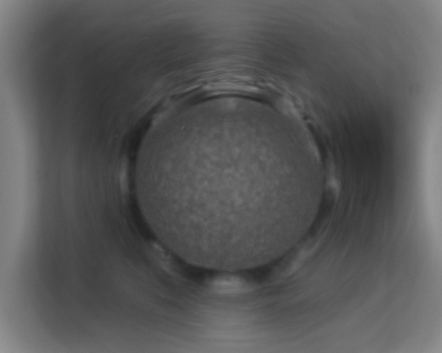 X0000113160519200909111017