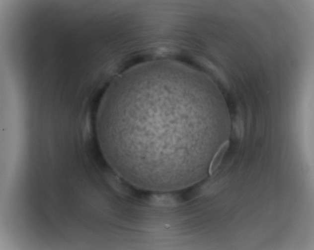 X0000113160520200909111017