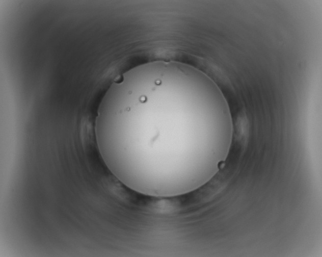 X0000113160522200909111017