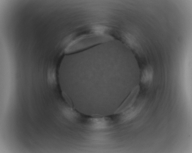 X0000113160524200909111017