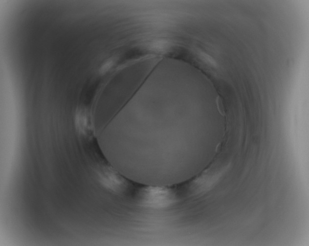 X0000113160528200909111017