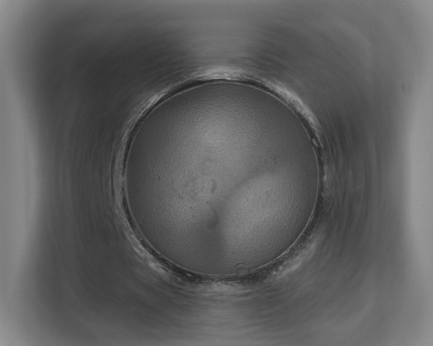 X0000113160529200909111016