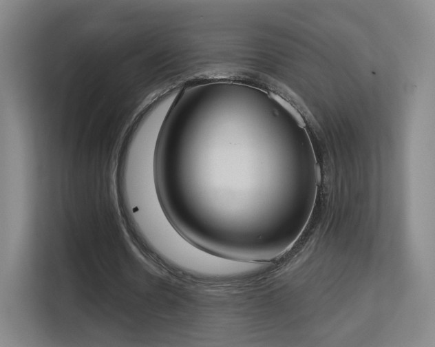 X0000113160530200909111016