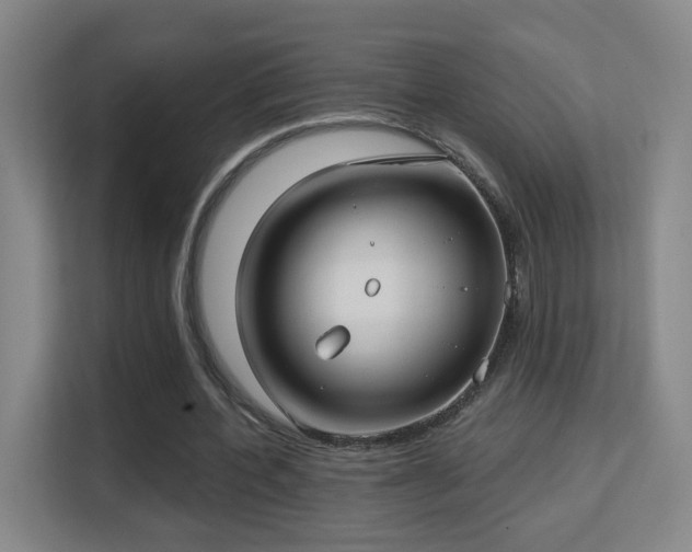 X0000113160532200909111016