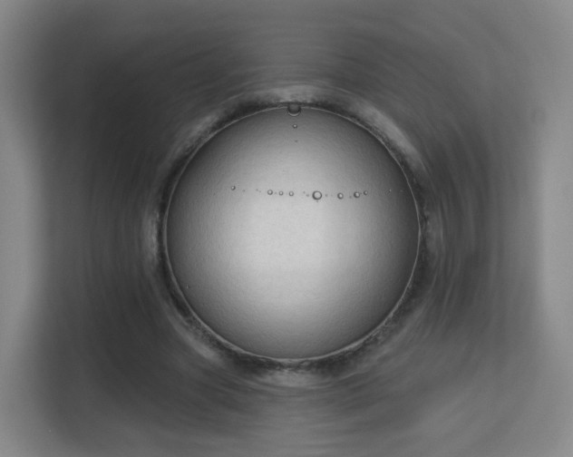 X0000113160537200909111016