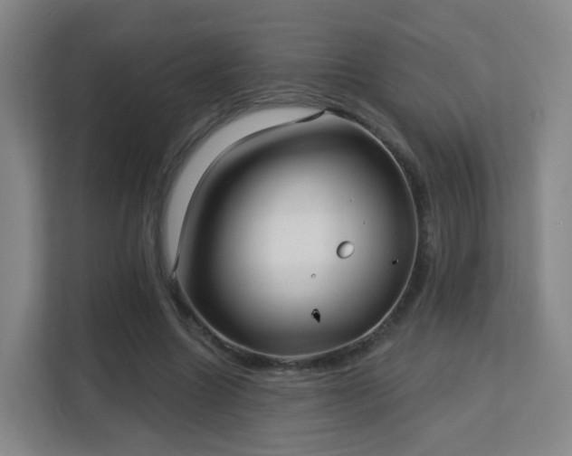 X0000113160538200909111016