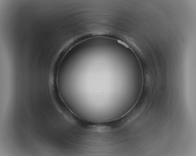 X0000113160539200909111016