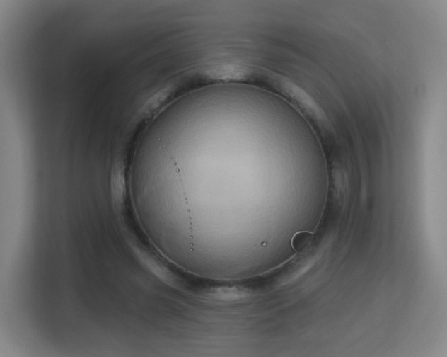 X0000113160541200909111016