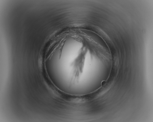 X0000113160542200909111016