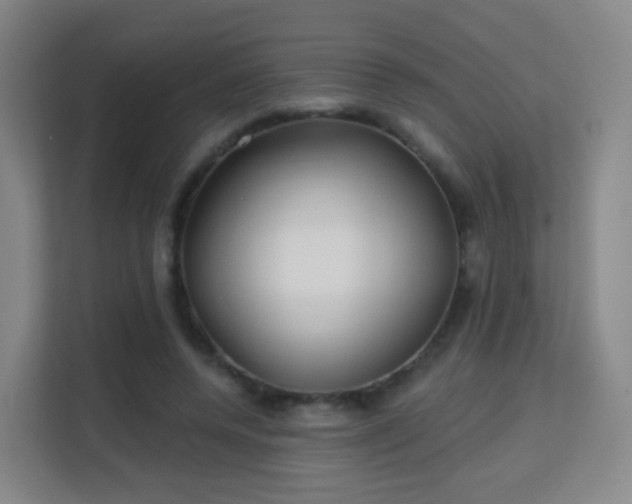 X0000113160544200909111016