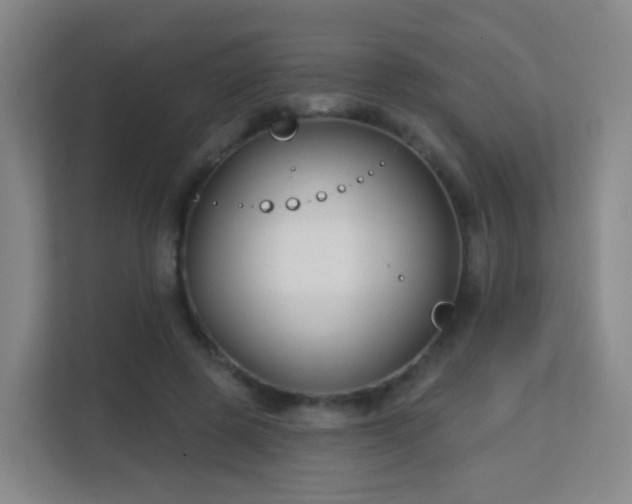 X0000113160545200909111016