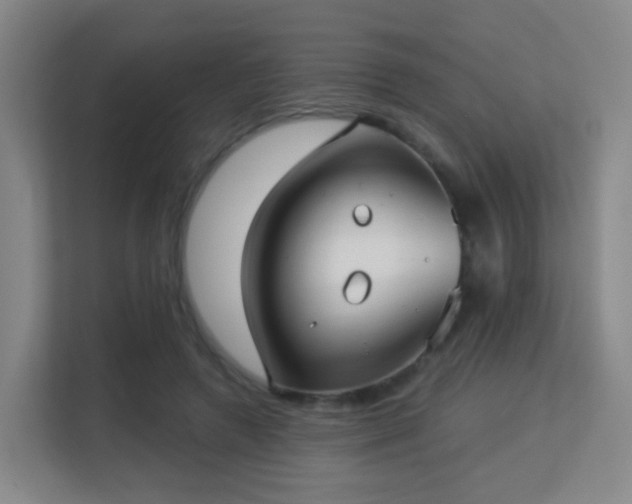 X0000113160546200909111016