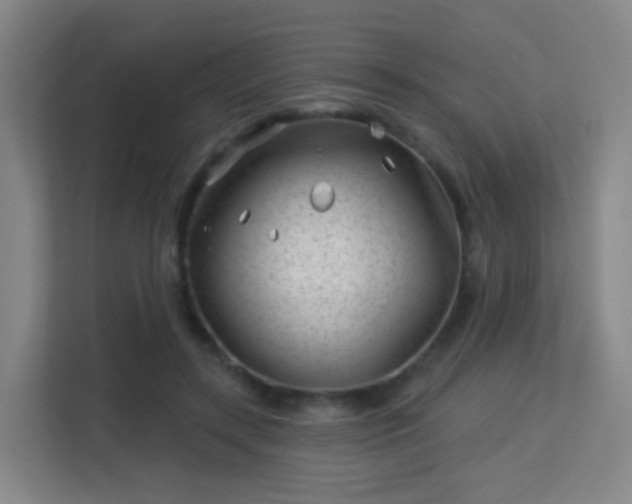 X0000113160547200909111016